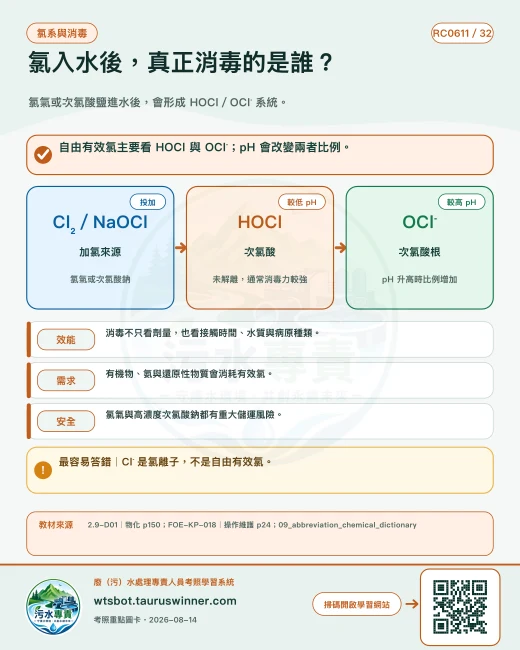 氯入水後，真正消毒的是誰？圖卡：氯氣或次氯酸鹽進水後，會形成 HOCl／OCl⁻ 系統。